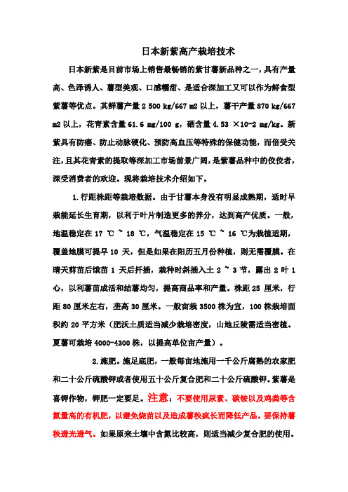 紫薯高产栽培技