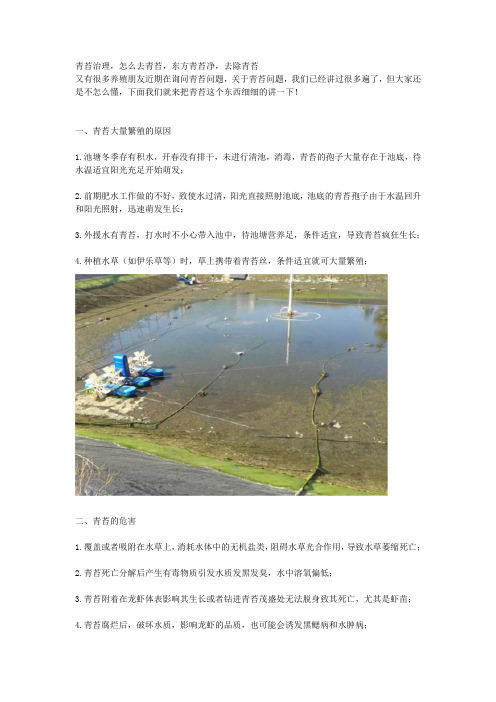 青苔治理,怎么去青苔,东方青苔净,去除青苔