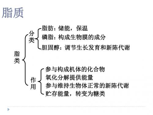血脂代谢-PPT课件