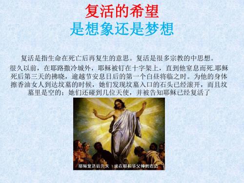 关于复活