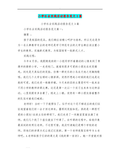 小学社会实践活动报告范文3篇(最新篇)
