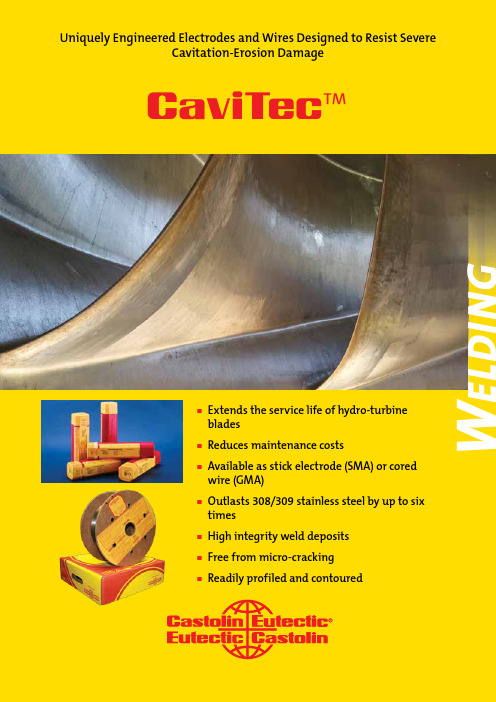 Castolin Eutectic CaviTec 抗潮污损电极和电缆产品说明书