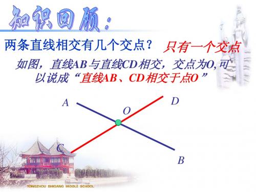 5.1.1对顶角(华师大版)
