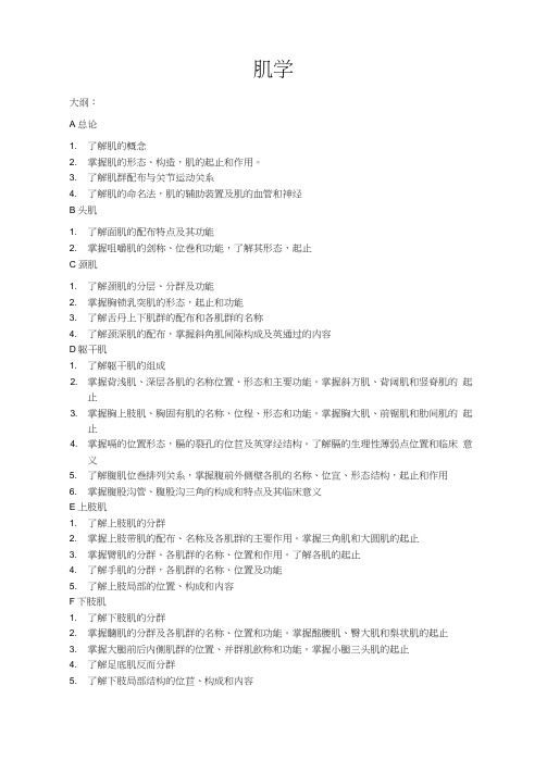 肌学知识点归纳(可编辑修改word版)