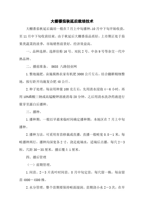 大棚番茄秋延后栽培技术