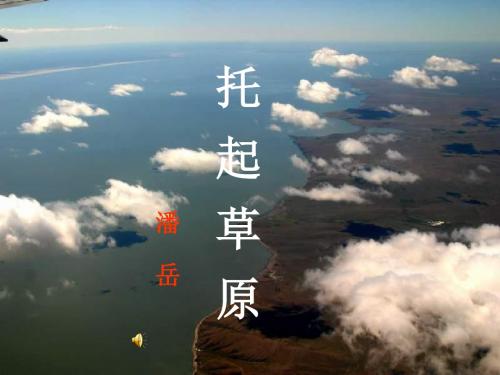 九年级语文托起草原(2019)