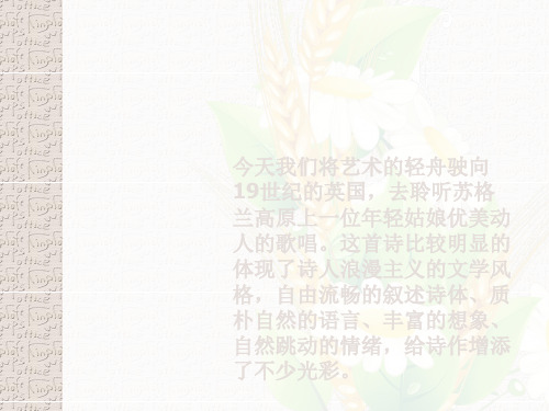 孤独的收割人ppt7