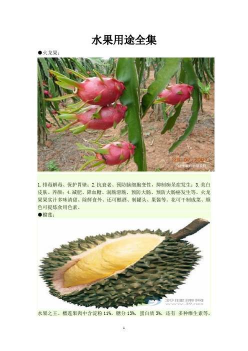 编辑水果用途全集打印版