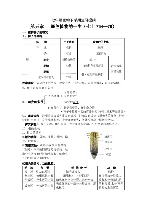 七年级生物下学期复习提纲Word版