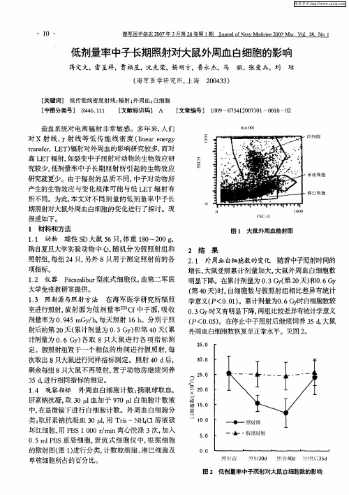 低剂量率中子长期照射对大鼠外周血白细胞的影响