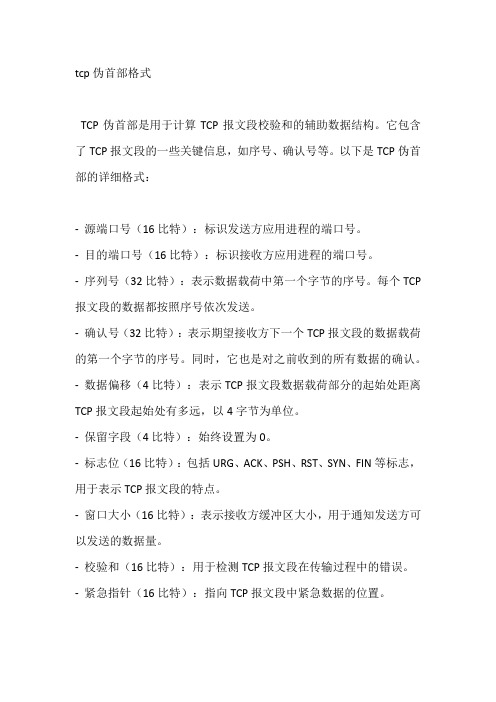 tcp伪首部格式