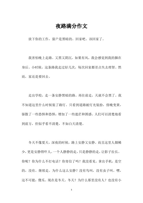 夜路满分作文