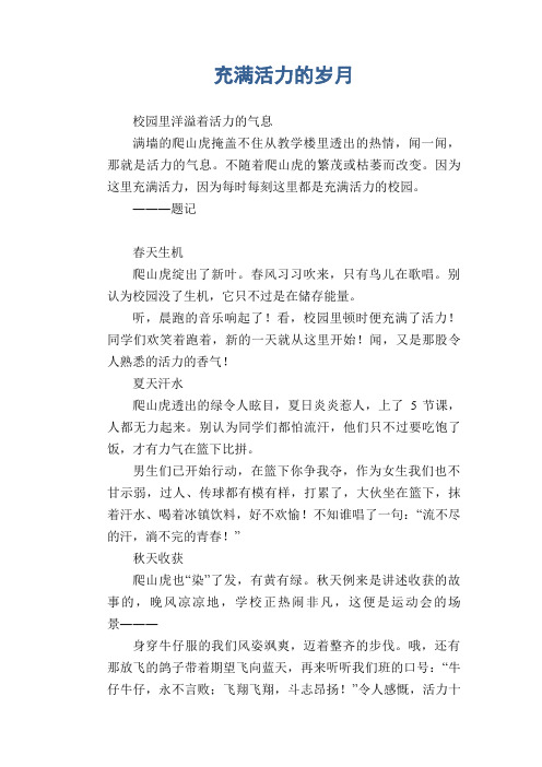 中学生满分作文：充满活力的岁月