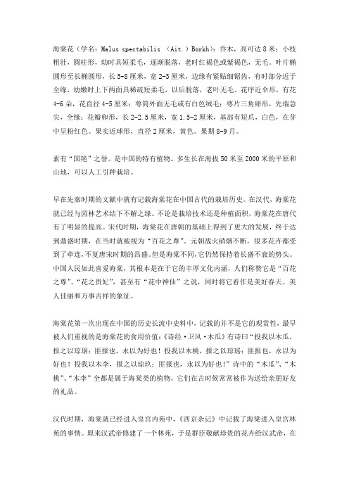 海棠文化