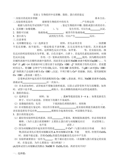 实验1生物组织中还原糖、脂肪、蛋白质的鉴定