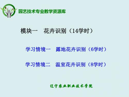 仙人掌及多浆花卉识别.