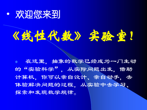 通过matlab完成线性代数的运算