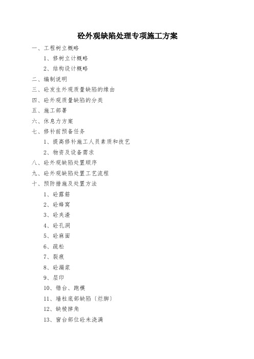 砼外观缺陷处理专项施工方案
