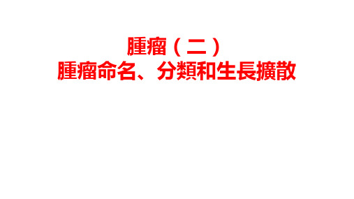 肿瘤课件：肿瘤命名、分类和生长扩散