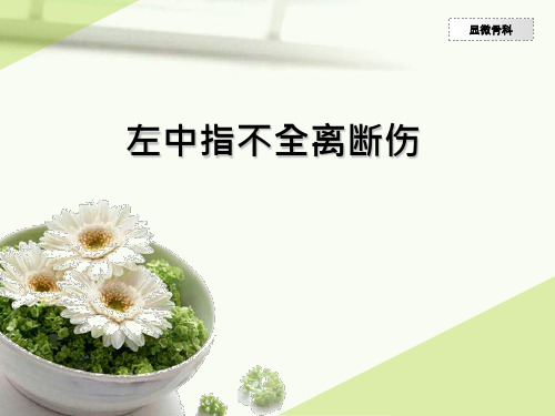 左中指不全离断伤