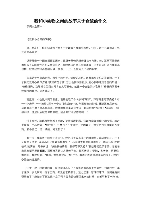 我和小动物之间的故事关于仓鼠的作文