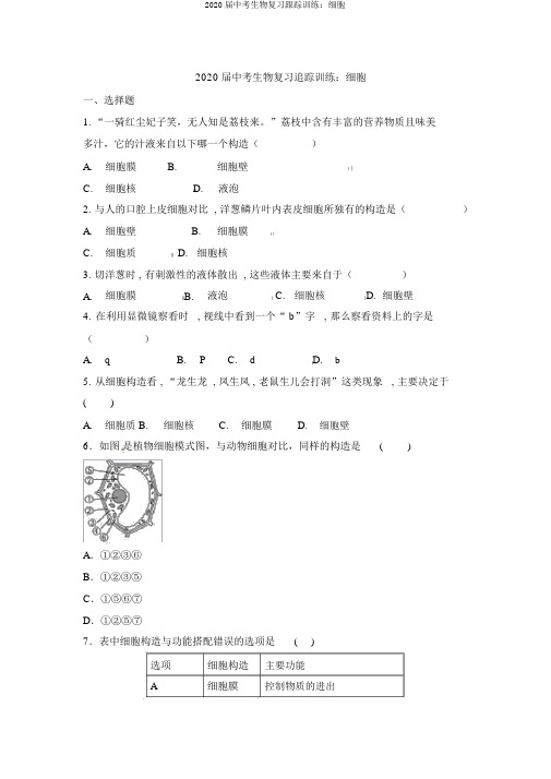 2020届中考生物复习跟踪训练：细胞