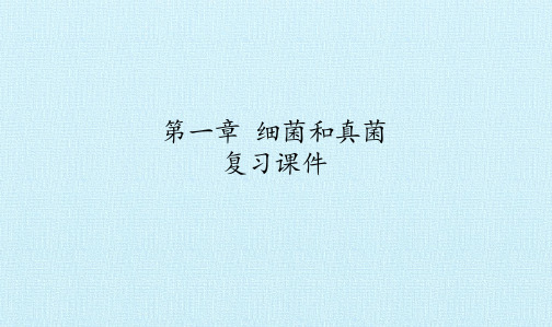 鲁教版五四制初中七年级下册生物：第一章 细菌和真菌 复习课件