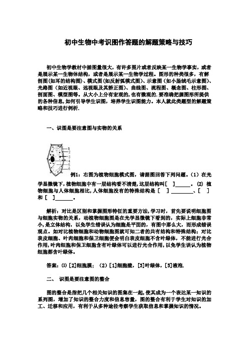 初中生物中考识图作答题的解题策略与技巧