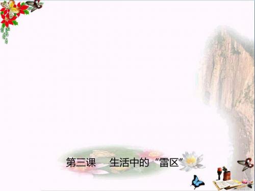 (人民版)生活中的“雷区” 教学PPT课件3