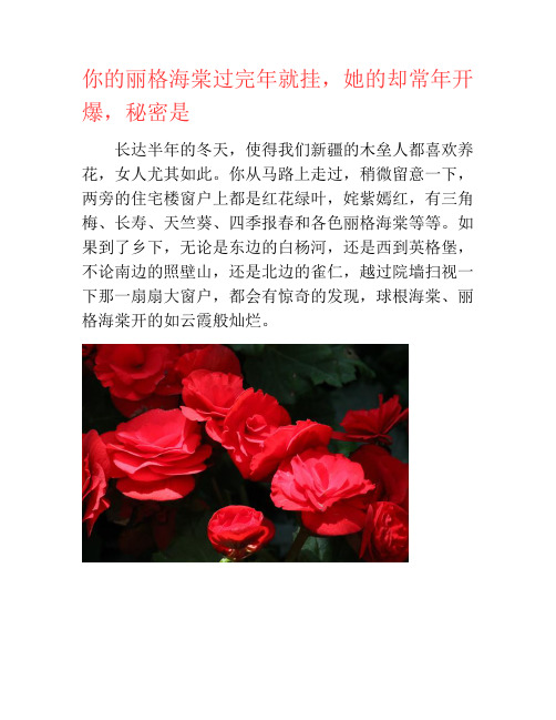 你的丽格海棠过完年就挂,她的却常年开爆,秘密是