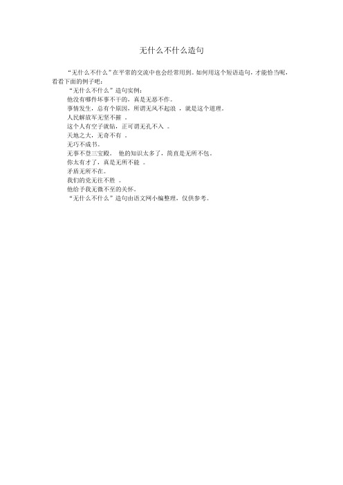 无什么不什么造句