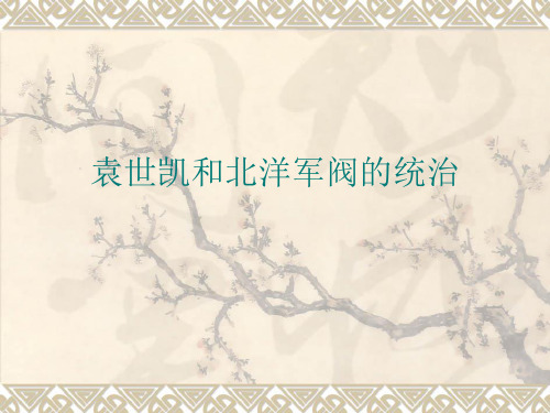 袁世凯和北洋军阀的统治