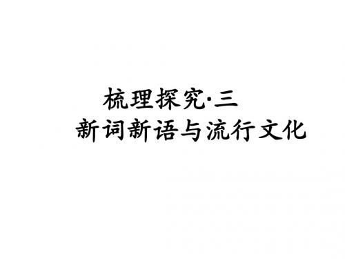新词新语与流行文化2016