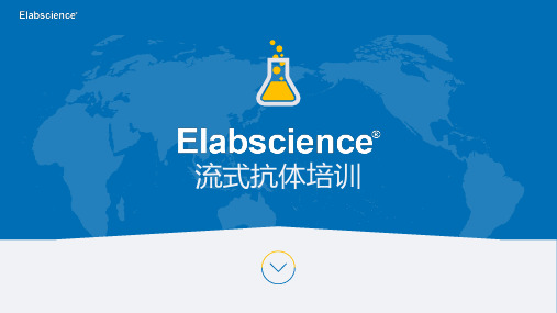 流式抗体培训