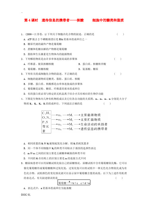 2012届高考生物一轮复习 2.3遗传信息的携带者――核酸课时练 新人教版必修1