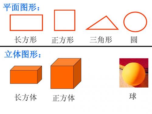 苏教版六年级数学下册《圆柱和圆锥的认识》课件