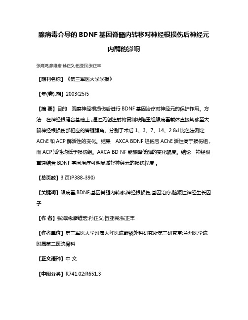 腺病毒介导的BDNF基因脊髓内转移对神经根损伤后神经元内酶的影响