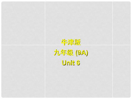 江苏省永丰初级中学九年级英语上册《Unit 6 Detective