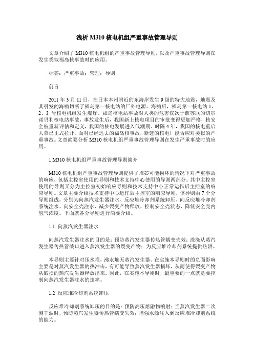 浅析M310核电机组严重事故管理导则