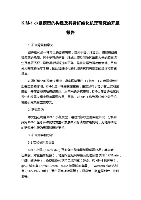 KiM-1小鼠模型的构建及其肾纤维化机理研究的开题报告
