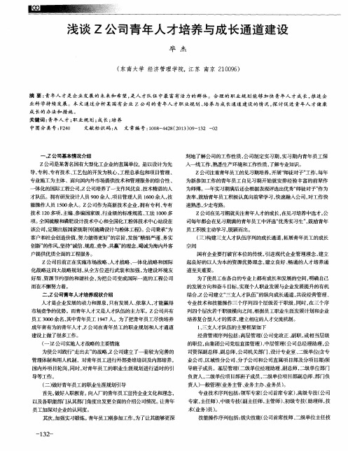 浅谈Z公司青年人才培养与成长通道建设