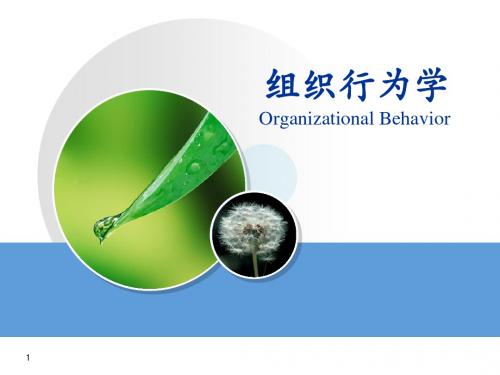 组织行为学导论