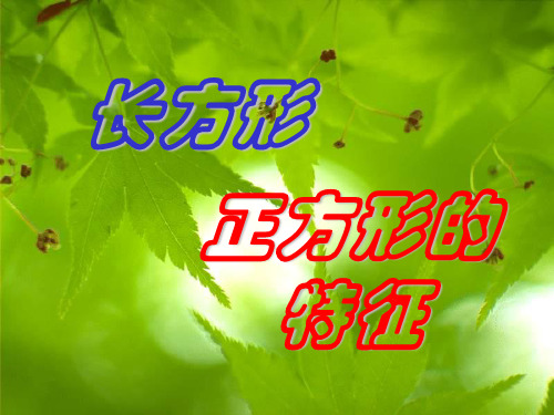 三年级上册数学课件-3.1  长方形和正方形的特征丨苏教版 (共17张PPT)