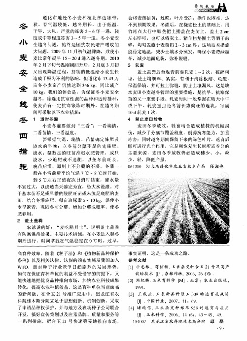 冬小麦安全越冬四措施