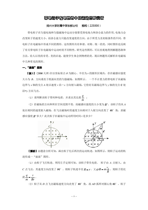 带电粒子在电磁场中的运动图形赏析