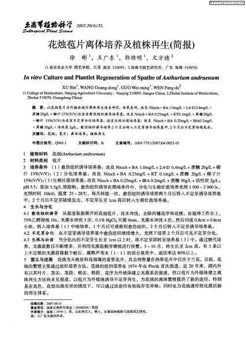 花烛苞片离体培养及植株再生(简报)