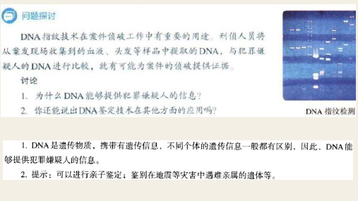 2.5 核酸是遗传信息的携带者 课件【新教材】人教版(2019)高中生物必修一