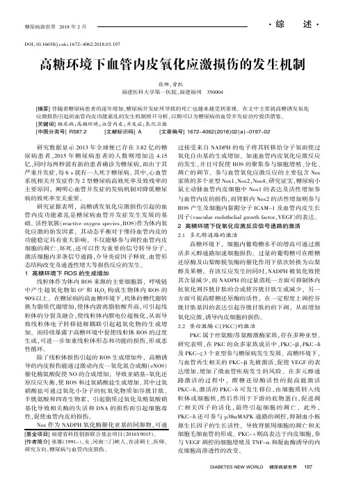 高糖环境下血管内皮氧化应激损伤的发生机制