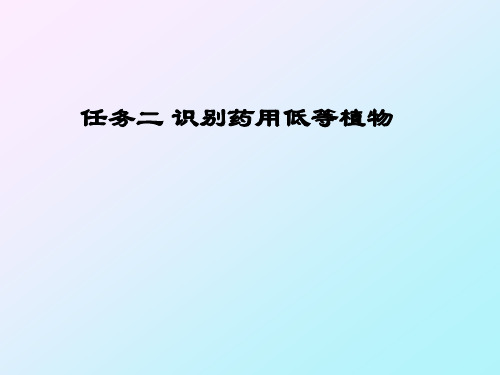 褐藻门Phaeophyta主要特征构成