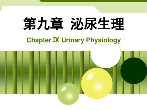 [临床医学]尿液的浓缩和稀释
